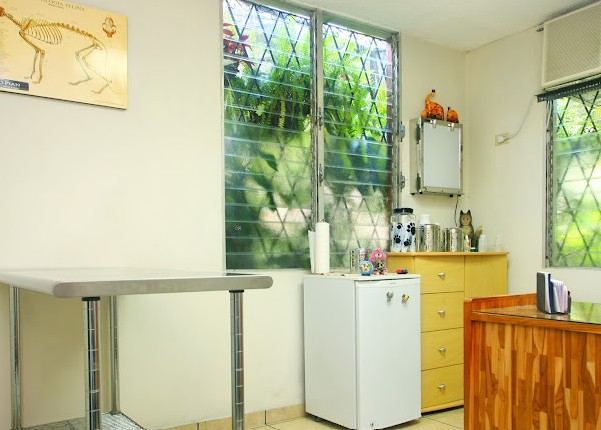 Clínica veterinaria interior